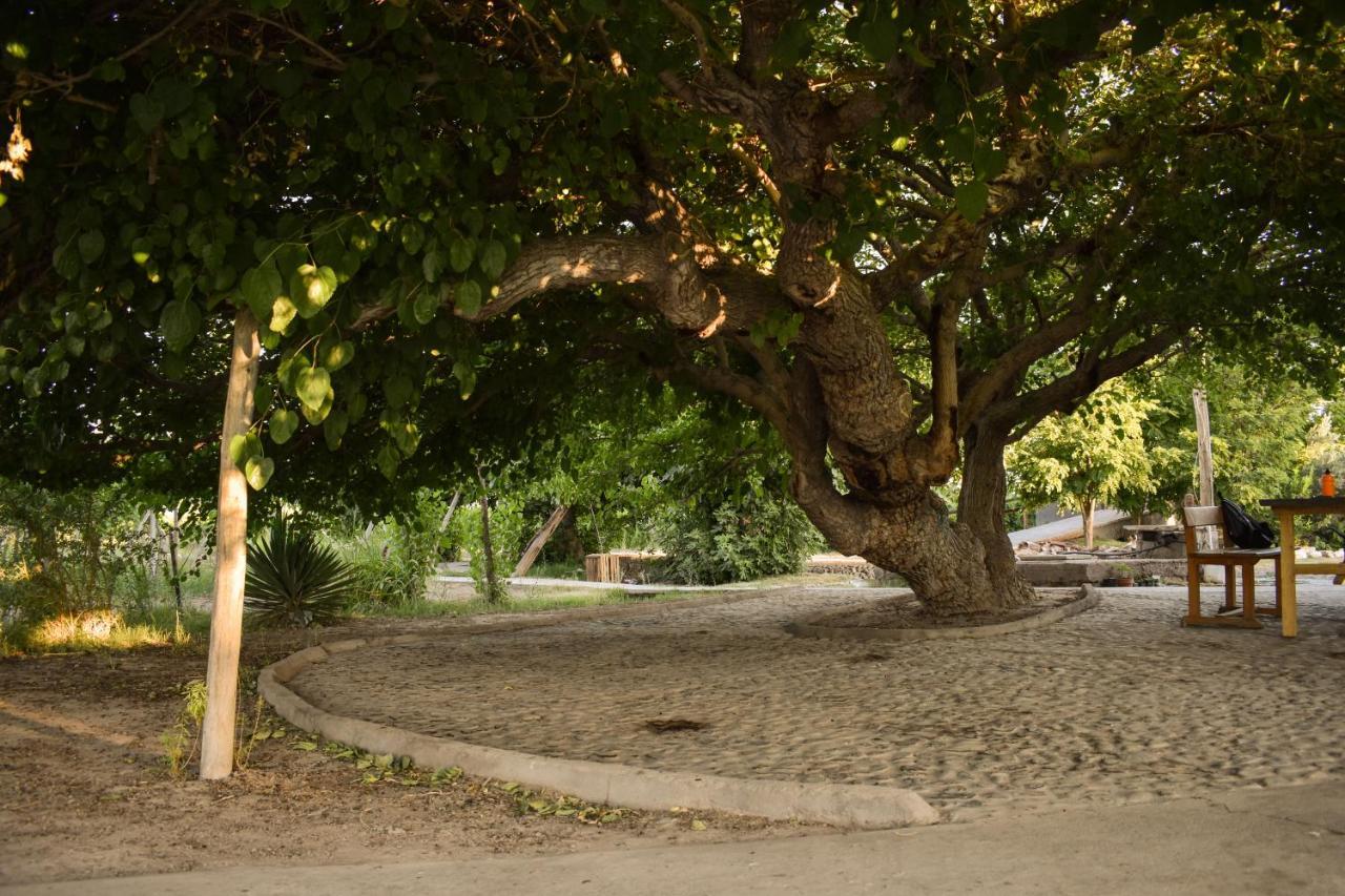 Cabanas De La Bodega Romano-Pin Albardon Bagian luar foto