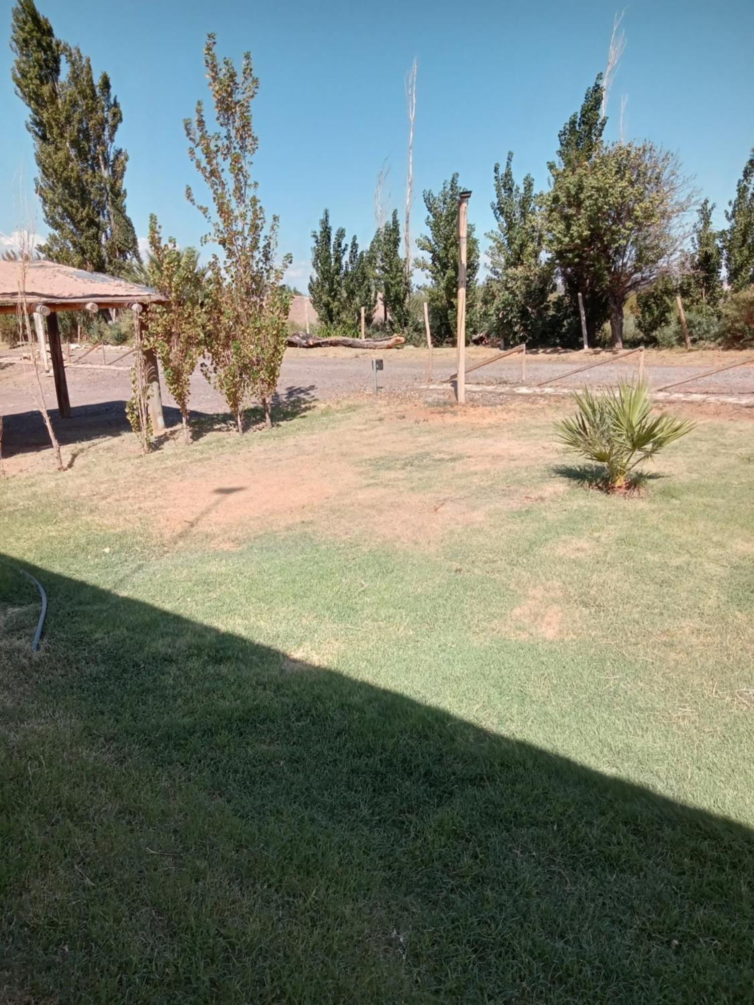 Cabanas De La Bodega Romano-Pin Albardon Bagian luar foto