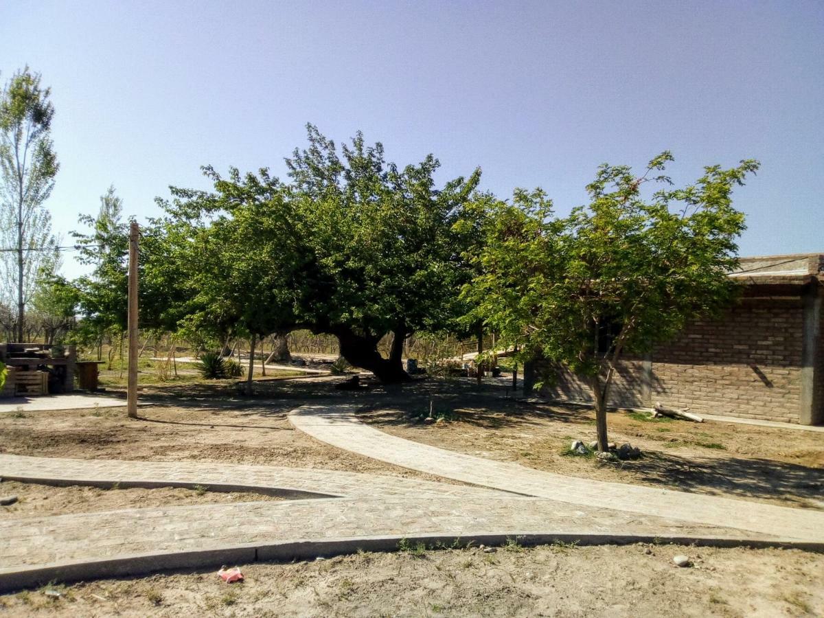 Cabanas De La Bodega Romano-Pin Albardon Bagian luar foto